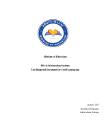 Information Systems blueprint (1).pdf